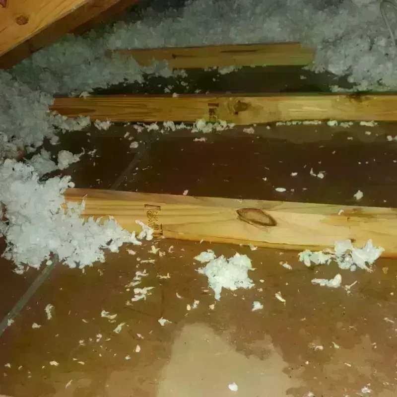 Attic Water Damage in Union Point, GA